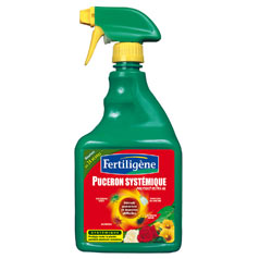 Puceron systemique spray